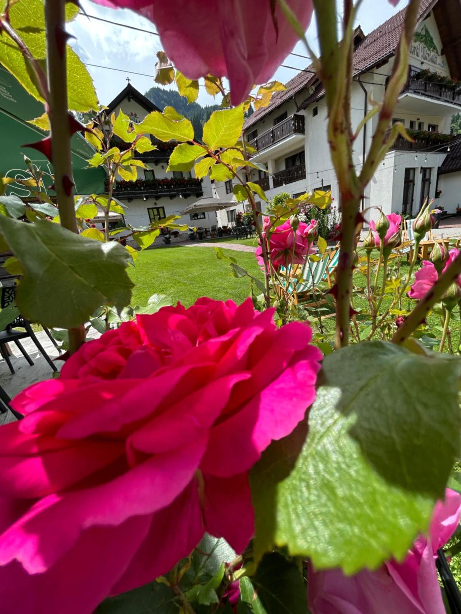 Casa Mia Hotel Moeciu De Sus Ngoại thất bức ảnh