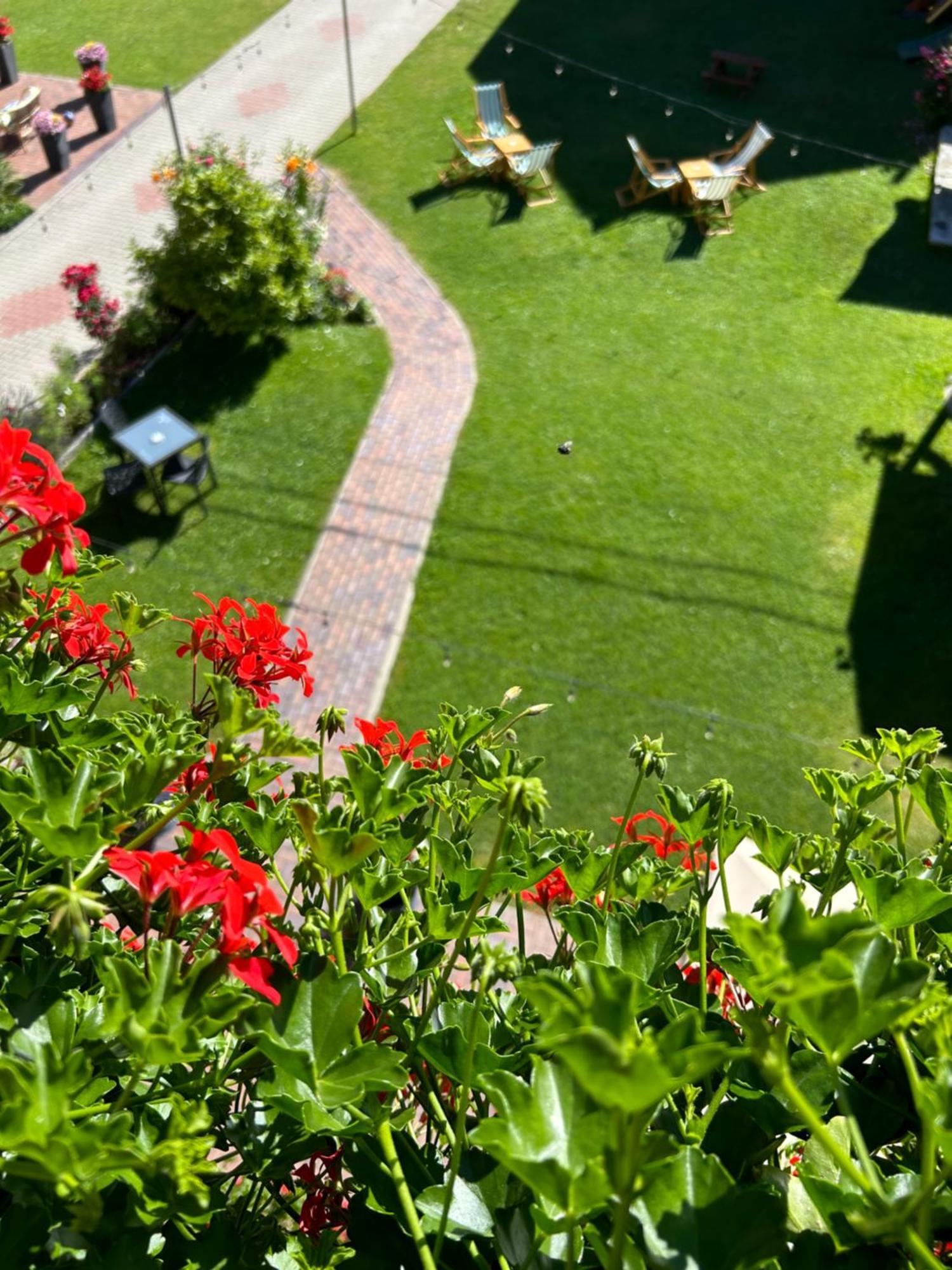 Casa Mia Hotel Moeciu De Sus Ngoại thất bức ảnh